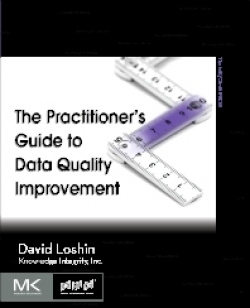 The Practitioner\'s Guide to Data Quality Improvement